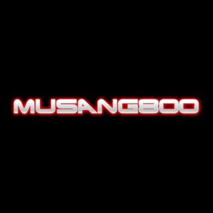 banner MUSANG800